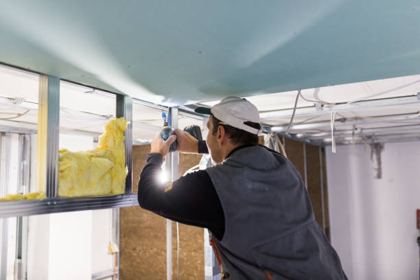 Best Insulation Repair Services  in Pleasanton, TX