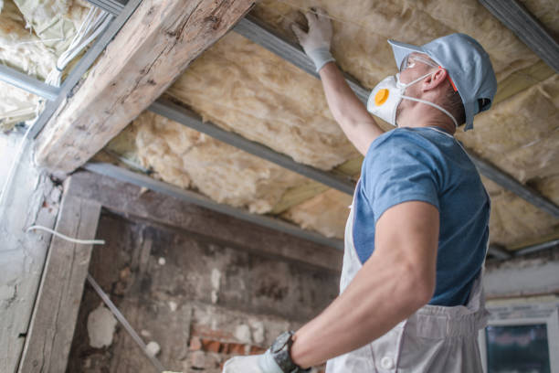 Best Blown-in Insulation  in Pleasanton, TX