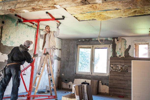Best Local Insulation Services  in Pleasanton, TX