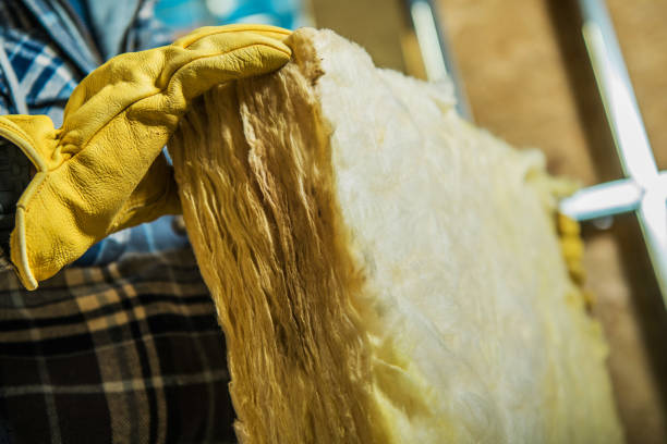 Best Cellulose Insulation  in Pleasanton, TX